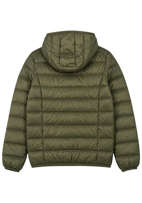 Green padded children's jacket EMPORIO ARMANI | 7B000035VERDE